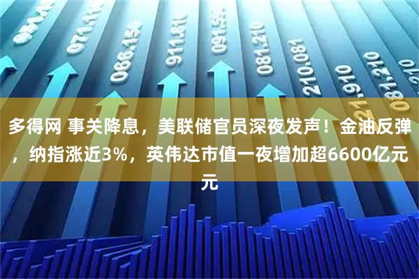 多得网 事关降息，美联储官员深夜发声！金油反弹，纳指涨近3%，英伟达市值一夜增加超6600亿元