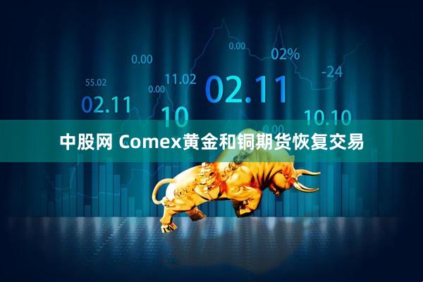 中股网 Comex黄金和铜期货恢复交易